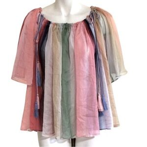 A Shappe sheer tunic NWT